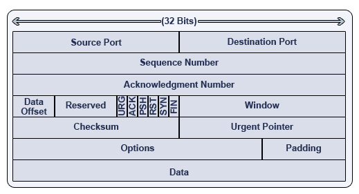 transport segment