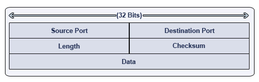 transport segment